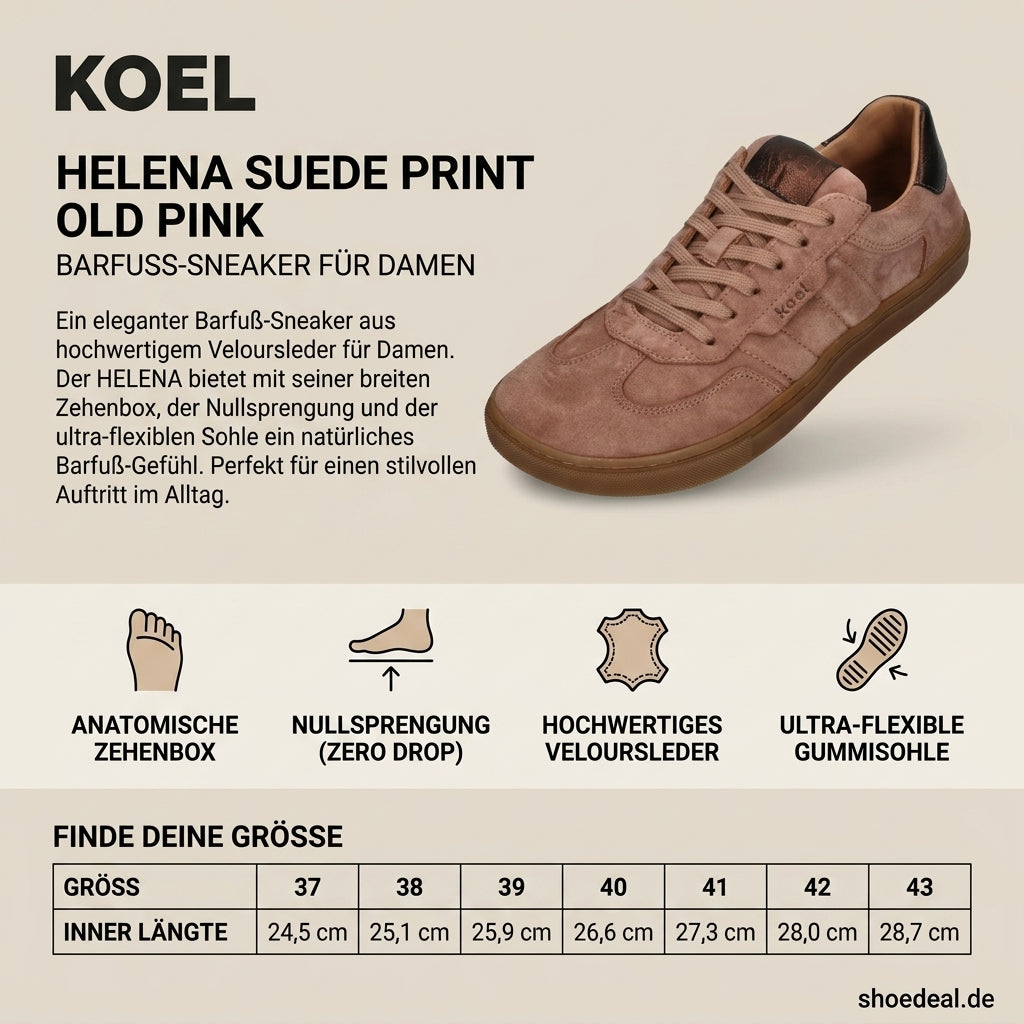 KOEL Helena Suede Old Pink Barfuß-Sneaker für Damen aus Altrosa Veloursleder mit breiter Zehenbox, Nullsprengung, biegsamer Gummisohle und metallisch glänzendem Fersenakzent auf beigefarbener Produkt-Infografik von shoedealo.shop.
