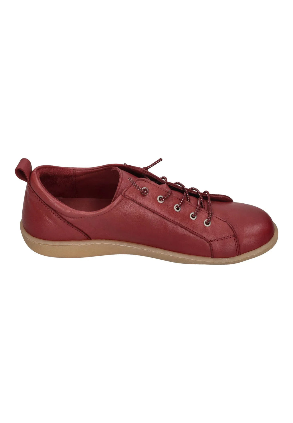 Andrea Conti - 0344578-024 | Sneakers | Nur bei shoedealo.shop, deinem Onlineshop für Schuhe mit Stil. – Bild 4