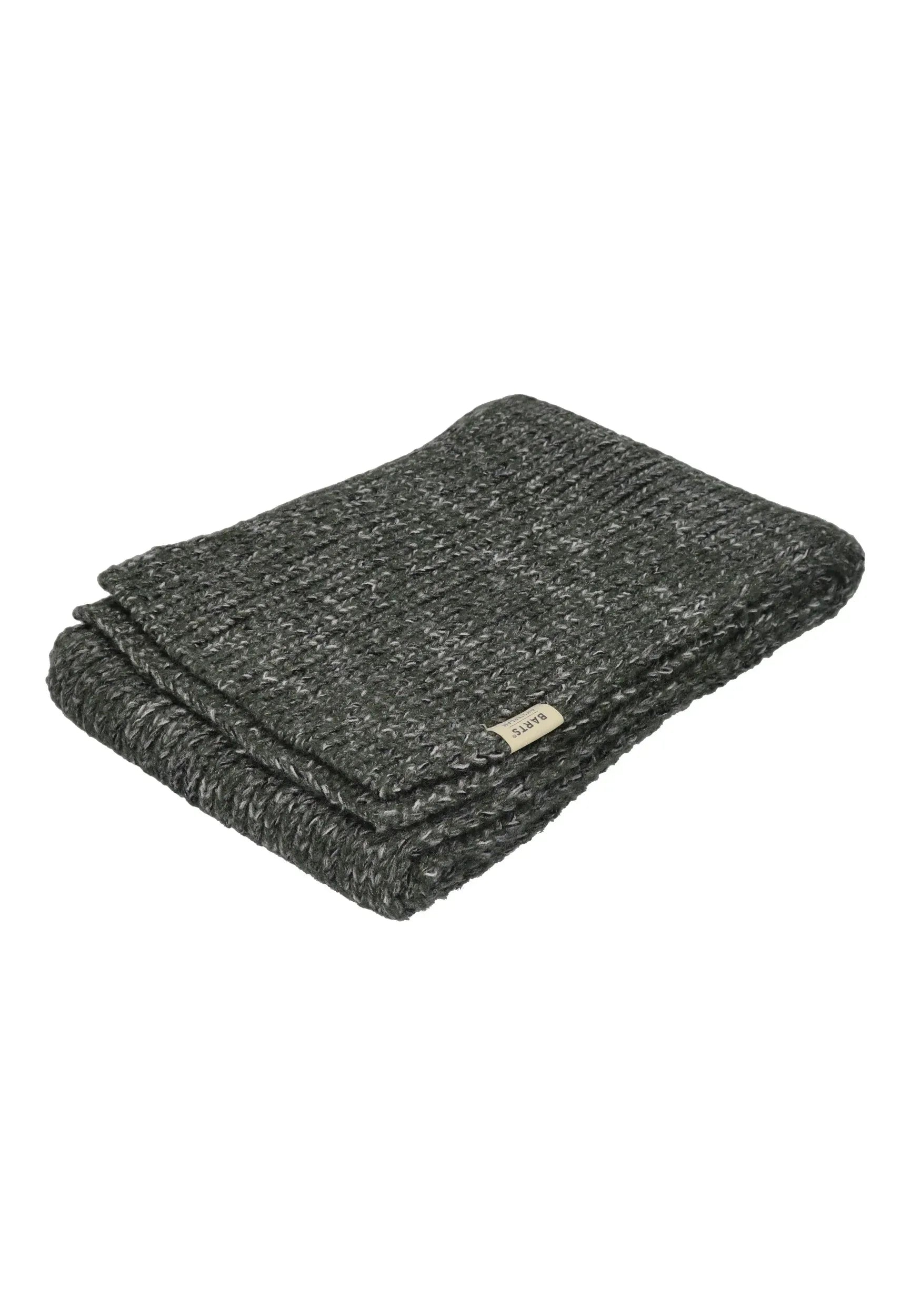 BARTS Herrenschal Scarf SKAGA army