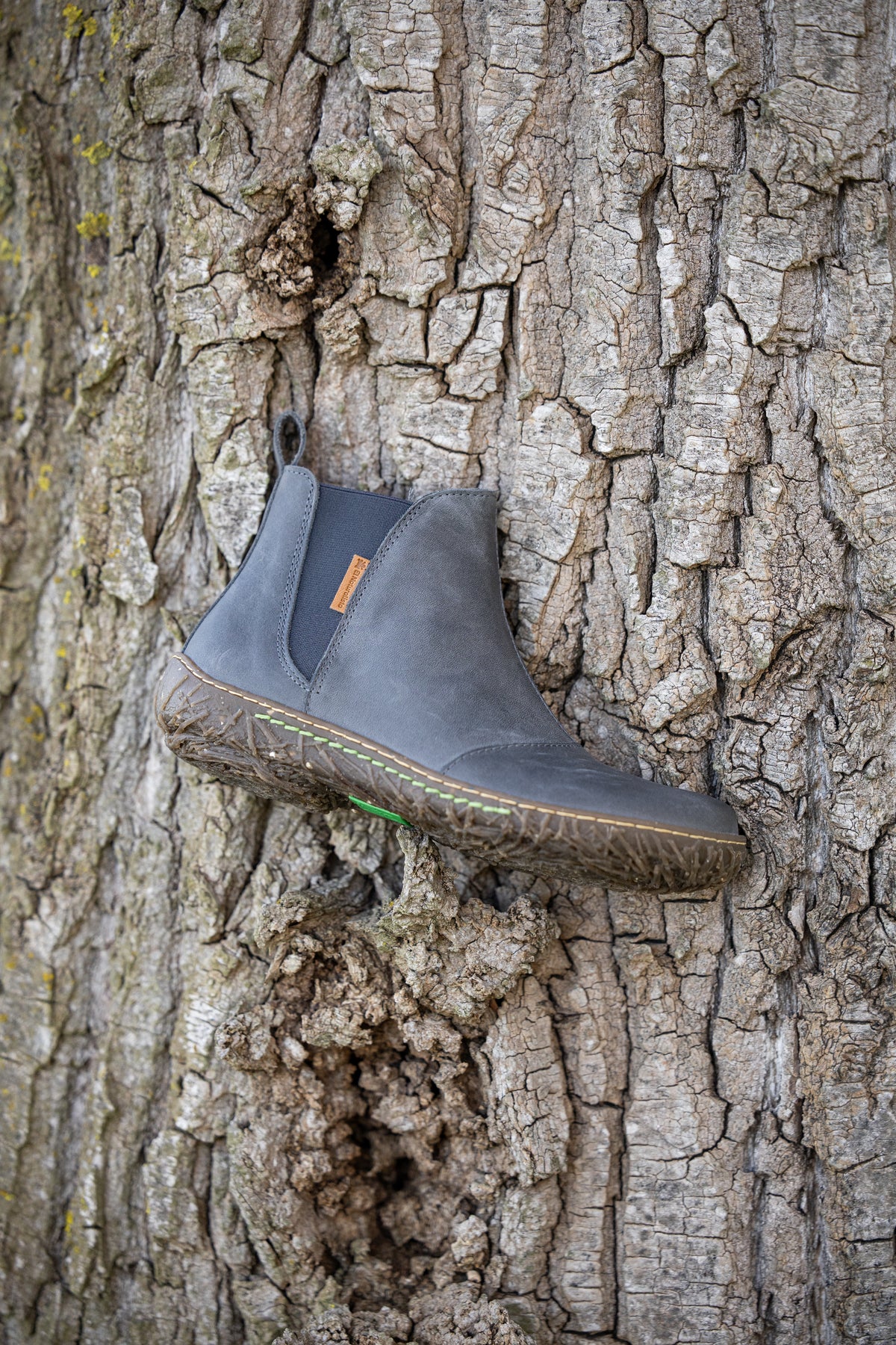 El Naturalista Chelsea Boot vor natürlicher Baumrinde – von der Natur inspiriertes Schuhdesign | shoedealo.shop