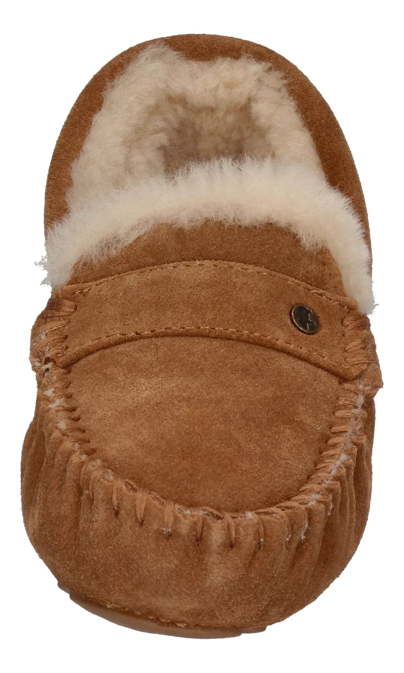 Warmbat - Nowra Suede NWR3410-25 - Damen - Hausschuh | Nur bei shoedealo.shop, deinem Onlineshop für Schuhe mit Stil. – Bild 3